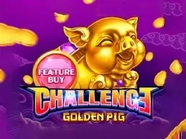 FEATURE BUY・GOLDEN PIG screenshot