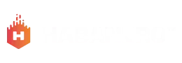 एचबीएन logo